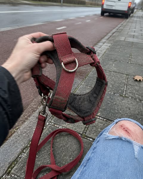 Koop alsjeblieft geen gewoon anti-trektuig!
