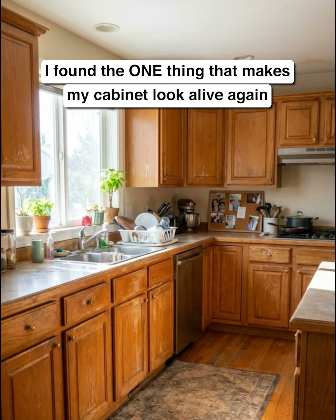 Every wood repair hack is working on the wrong layer.