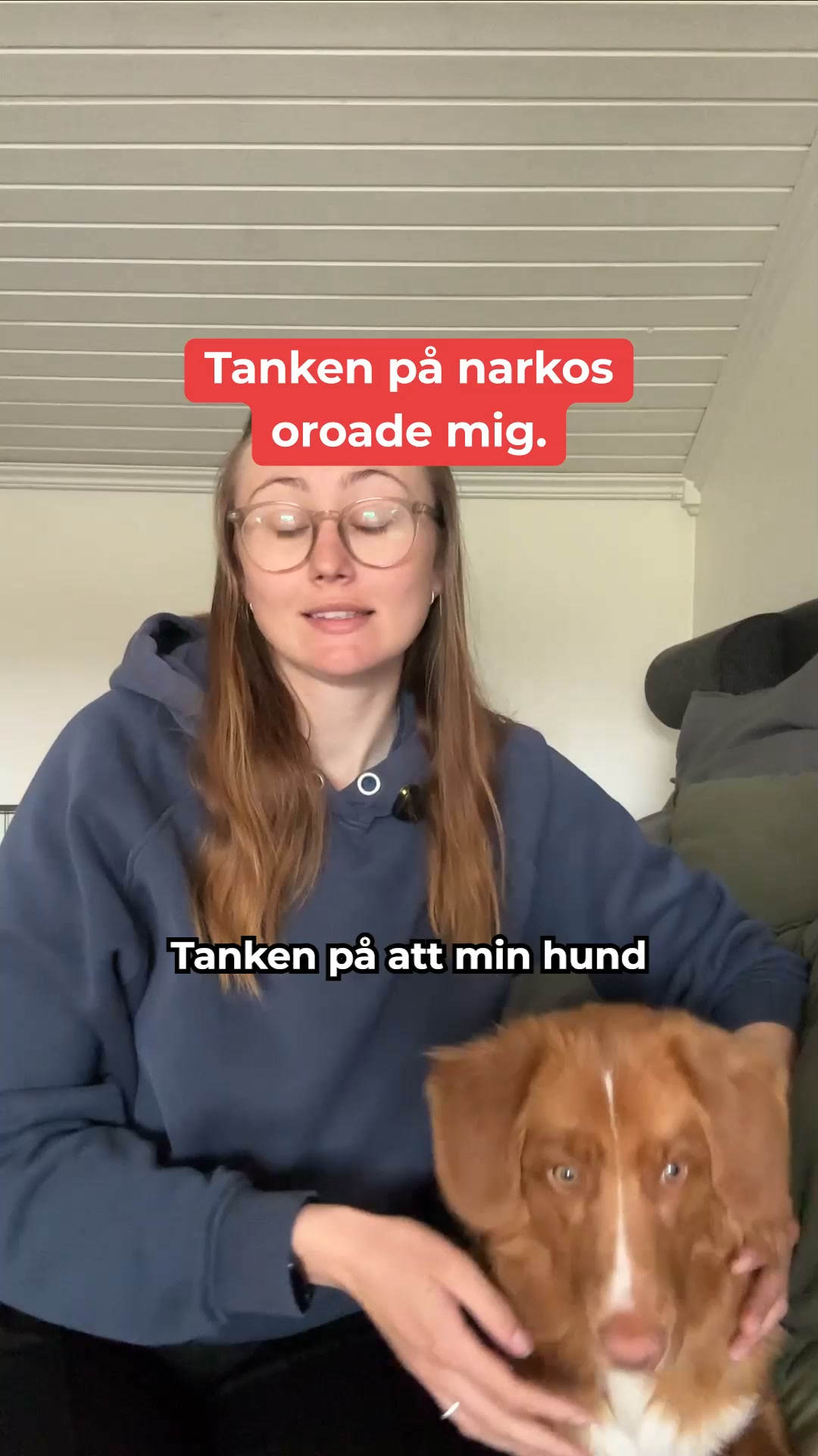 Så kan du hjälpa din hund att undvika en kostsam tandrengöring under narkos