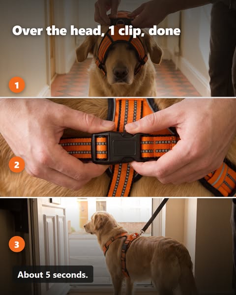 Over the head, one clip, done