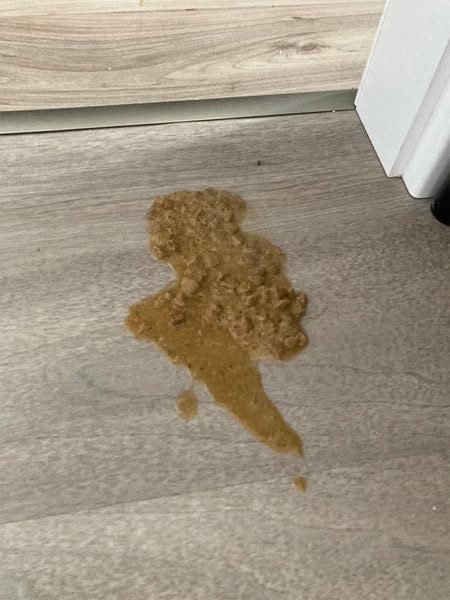 Loki est mort à 6 ans. Simba a commencé à faire la même chose