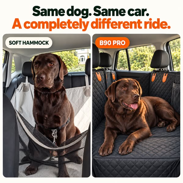 Choose Calmer Rides
