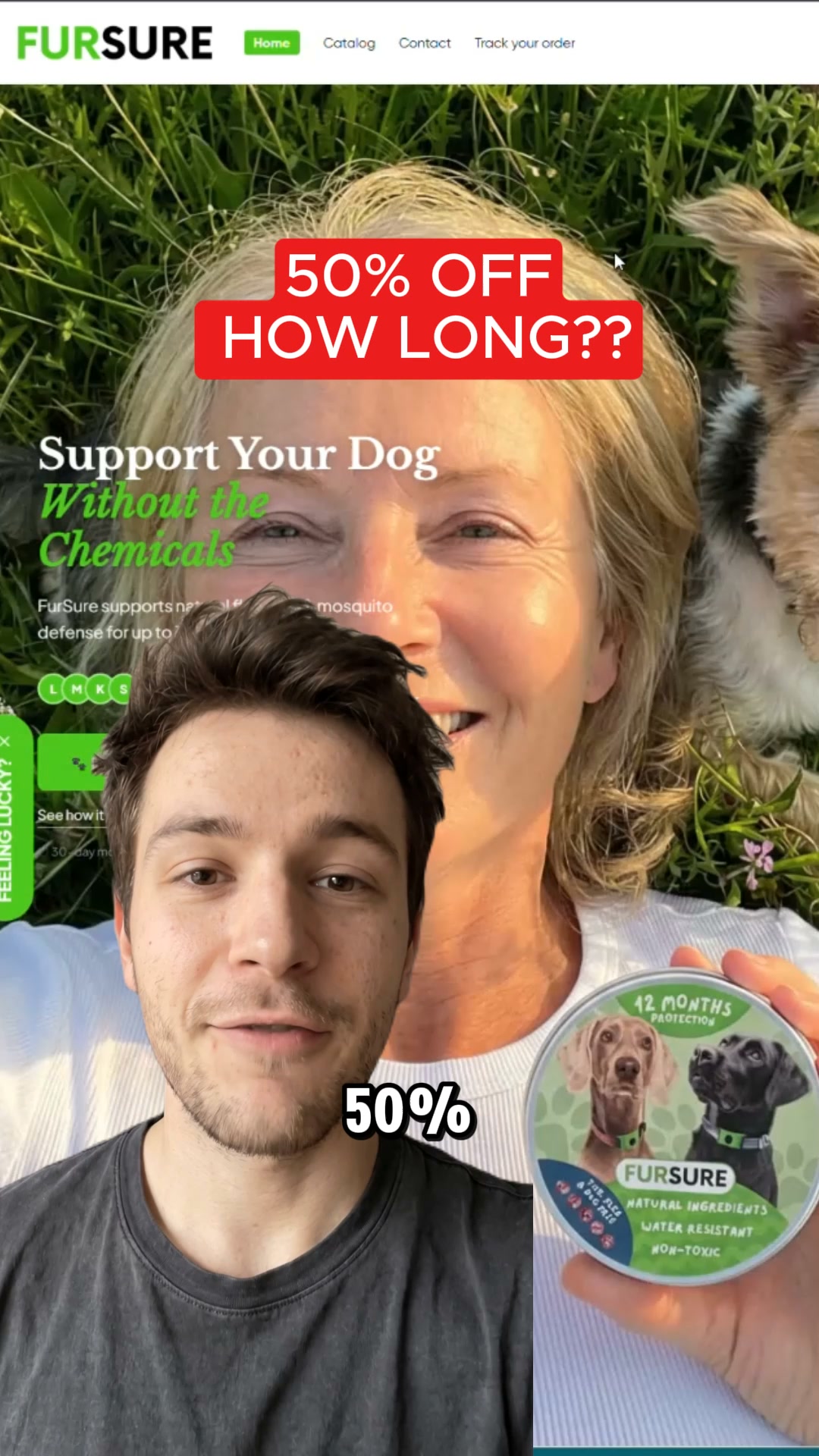 Give Your Dog a Bug-Free Life