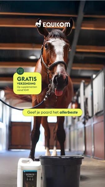 Voorkom tekorten bij je paard