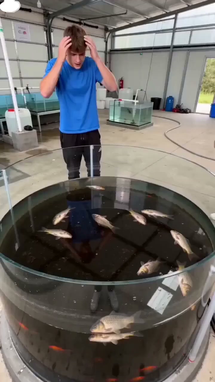 Wasserreinigungstabletten fürs Aquarium – für klareres Wasser & einfachere Pflege!