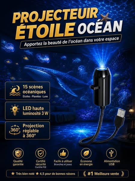 15 Scènes de Rêve, Immersion Océan et Étoiles