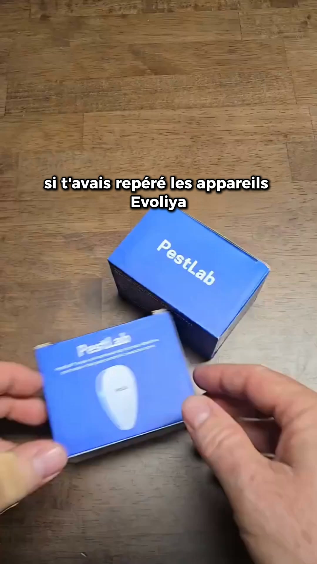 Dites enfin adieu aux punaises de lit