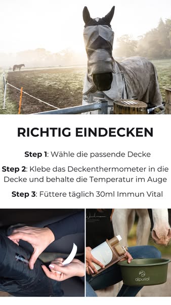 Pflicht im Winter bei Pferden