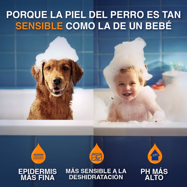 Ahora nuevo: DOUXO SPA