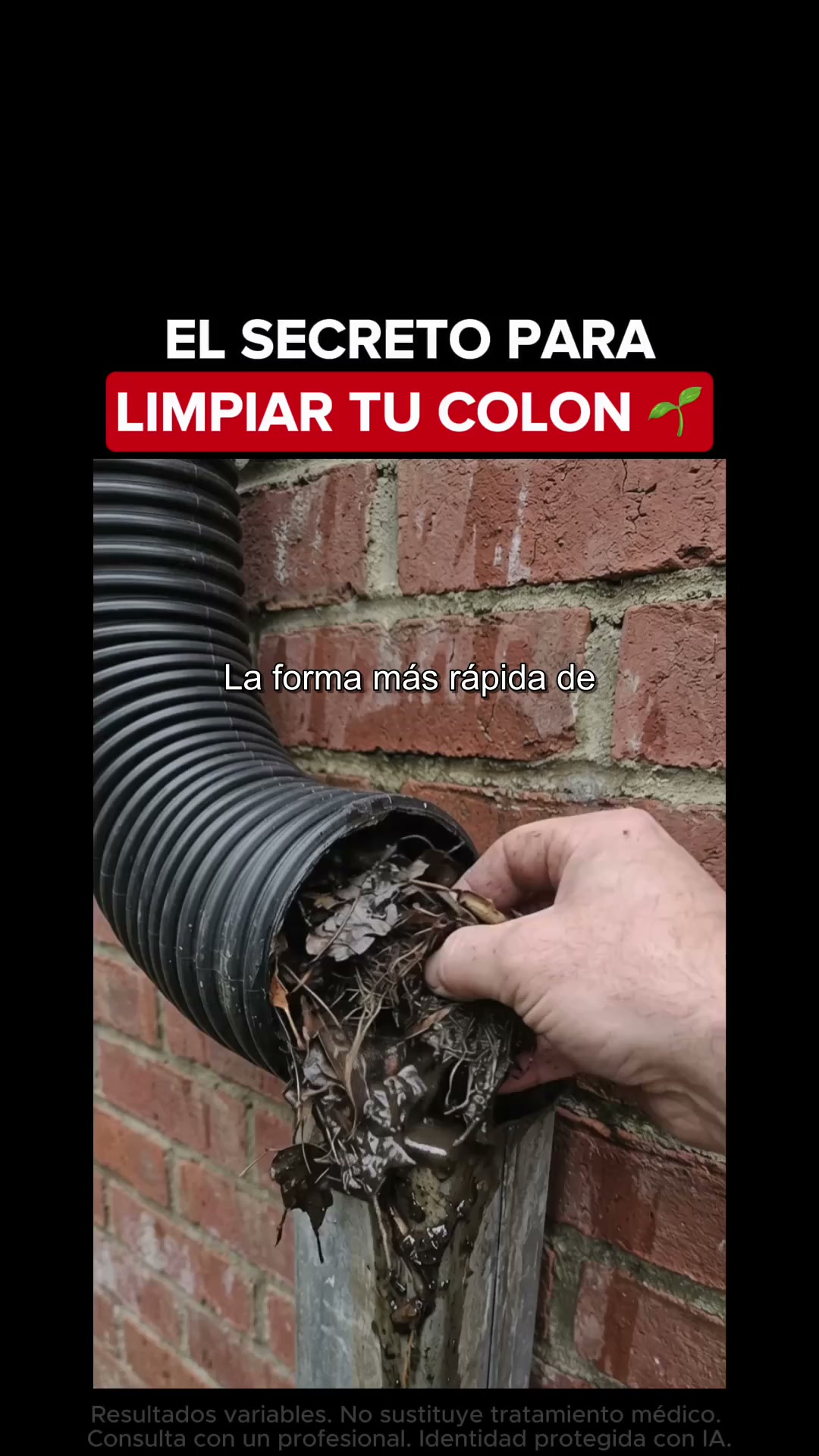 Dejé de ignorar esto y he vuelto a ser yo