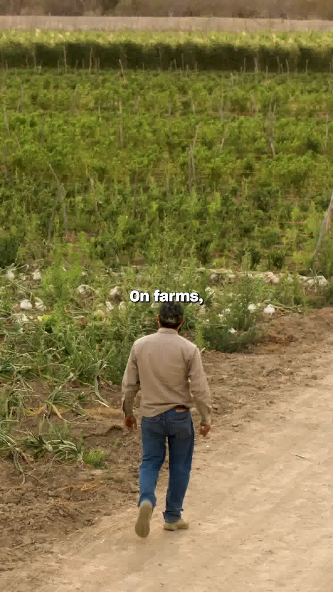 Support A Better Food System