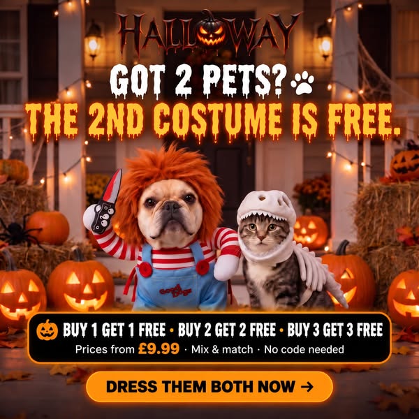 BUY 1, GET 1 FREE — TODAY ONLY‼