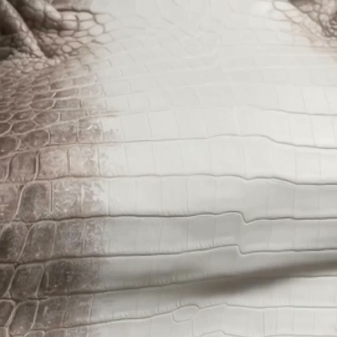 Sunny Exotic Leather Tannery