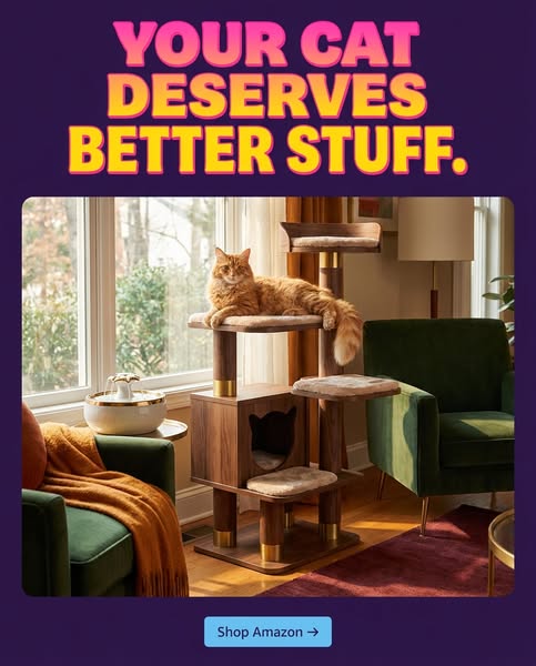 13 Useful Products for Cat Owners