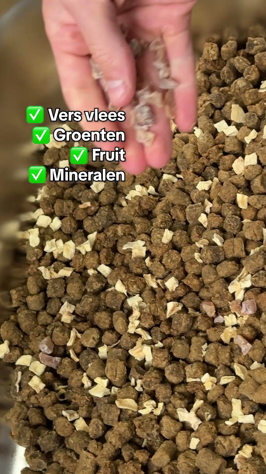 Recept op maat voor je hond. Nu −80%.
