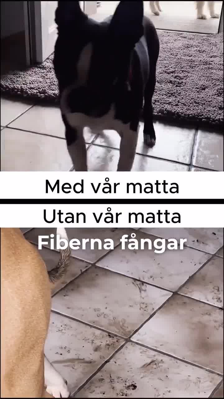 Slipp smuts hemmet