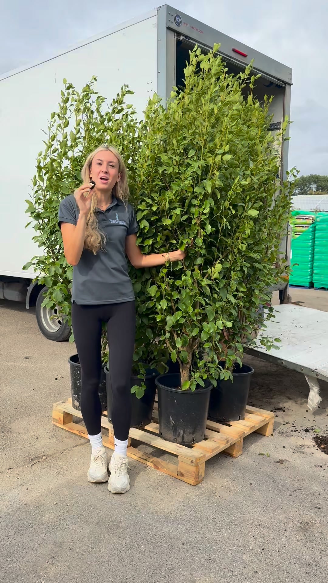 Premium Hedging Delivered Nationwide
