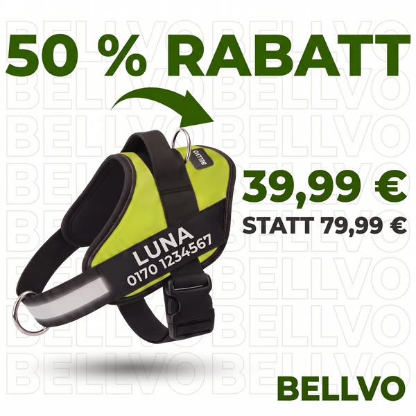 50 % RABATT + KOSTENLOSER VERSAND