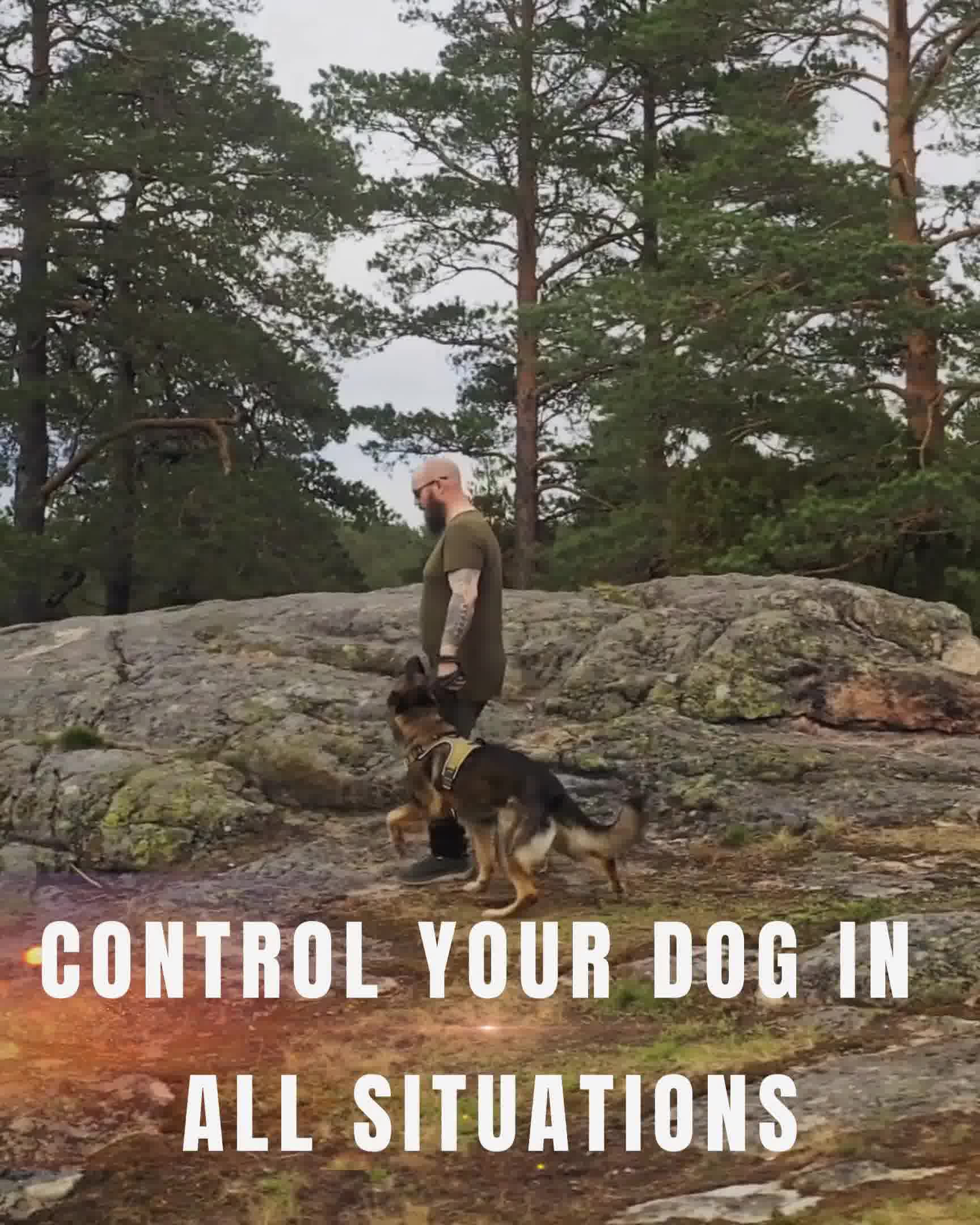 Anúncio de Cerberos Finland