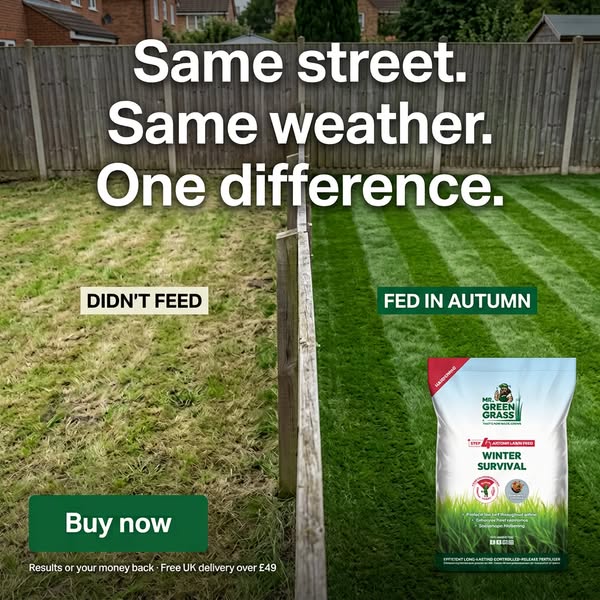 Your Lawn Deserves The BEST!