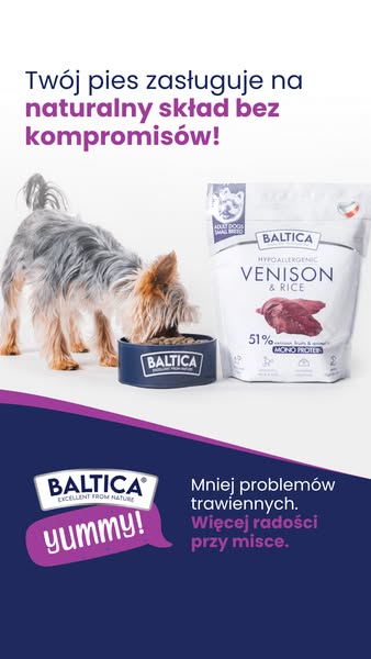 Więcej radości przy misce