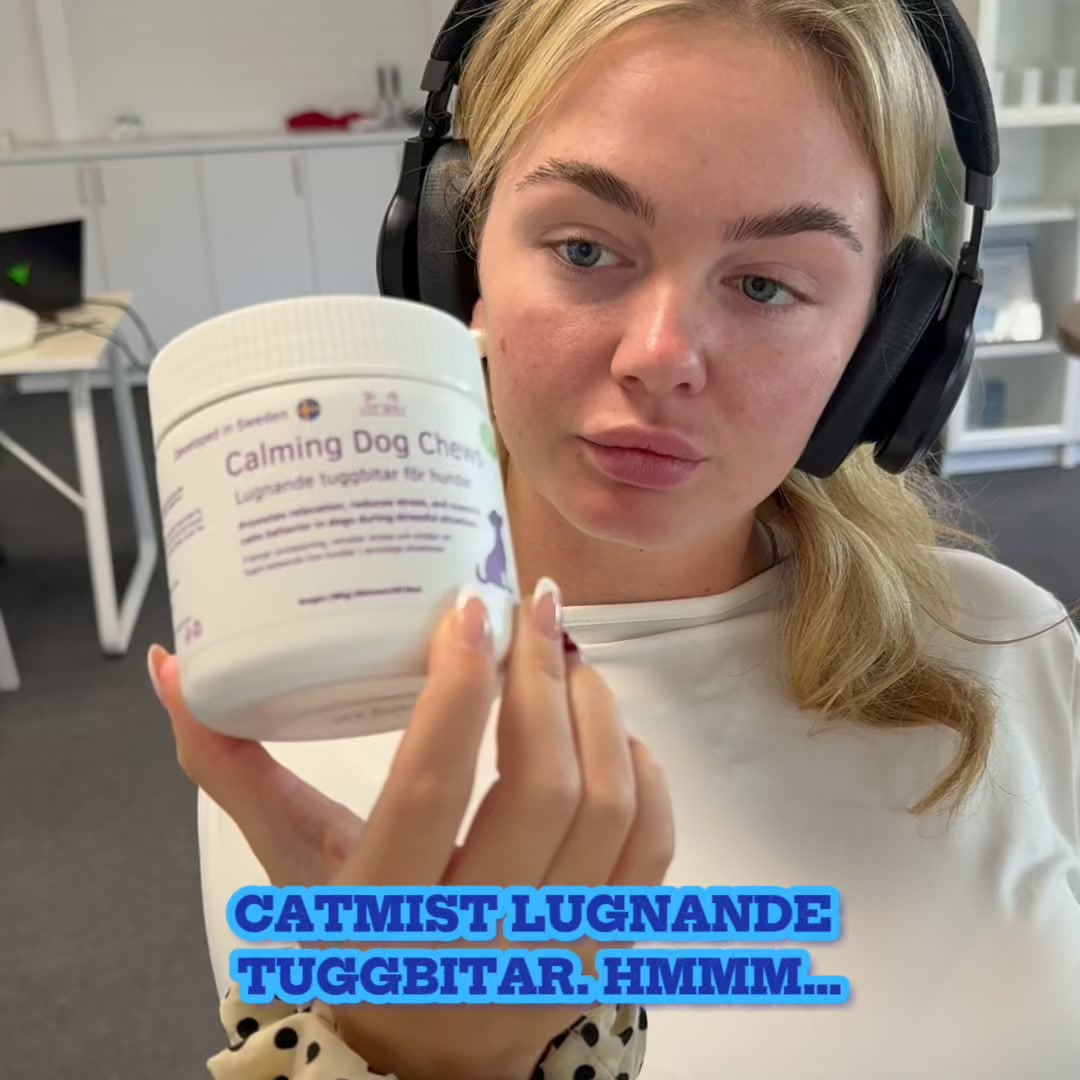 För en lugnare hund