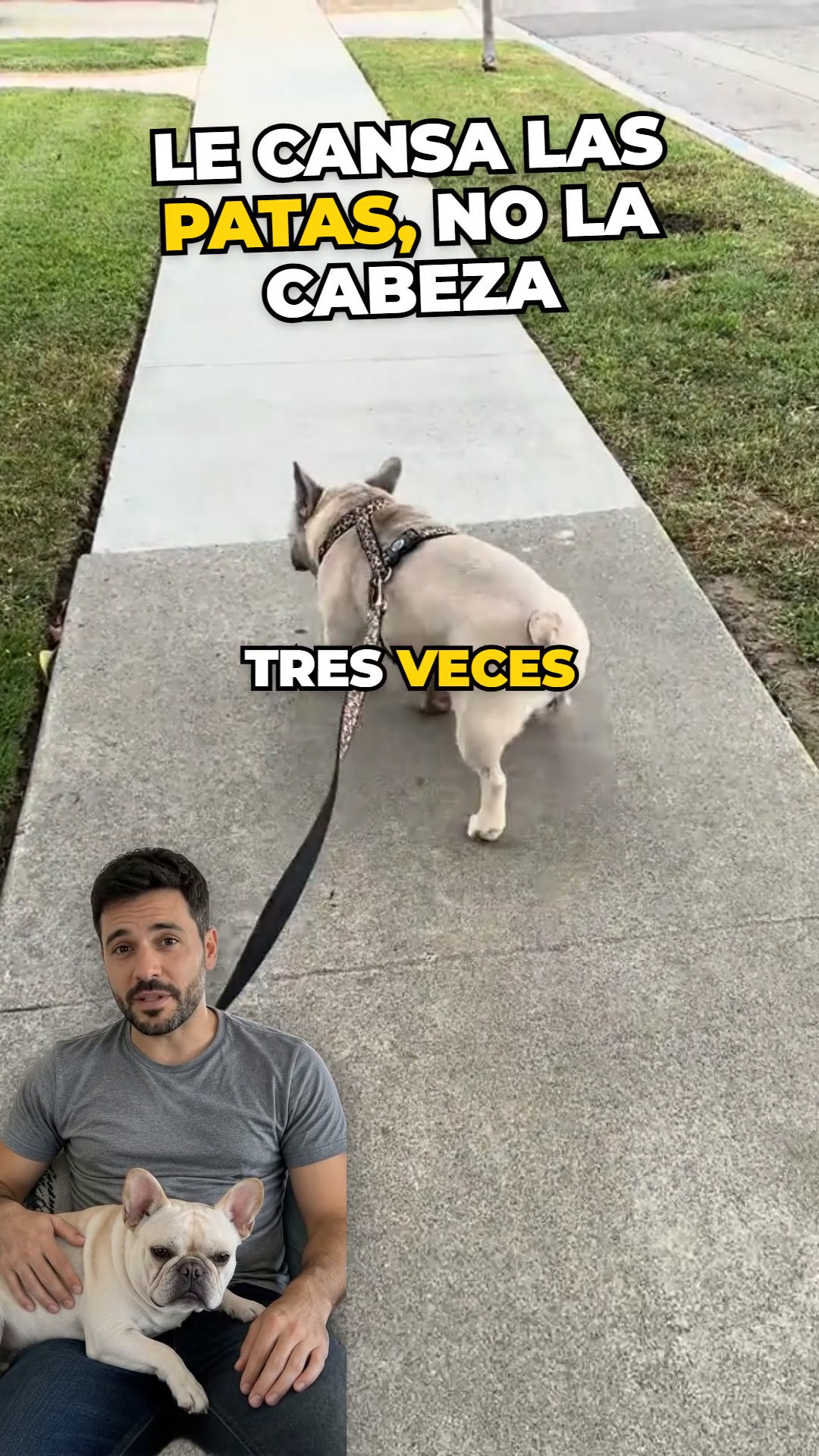 2x1 + envío gratis a toda España