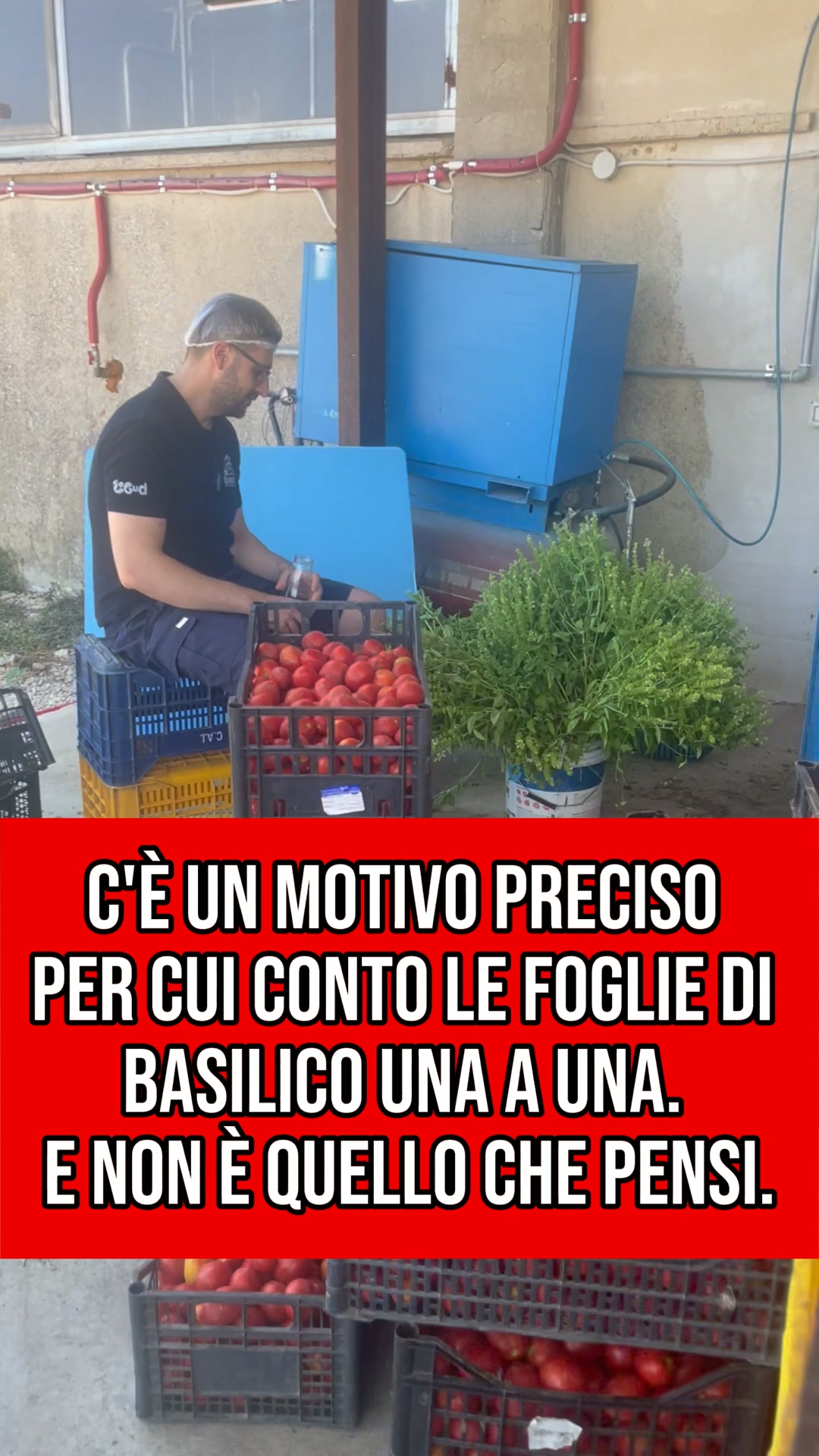 2 Regali per te