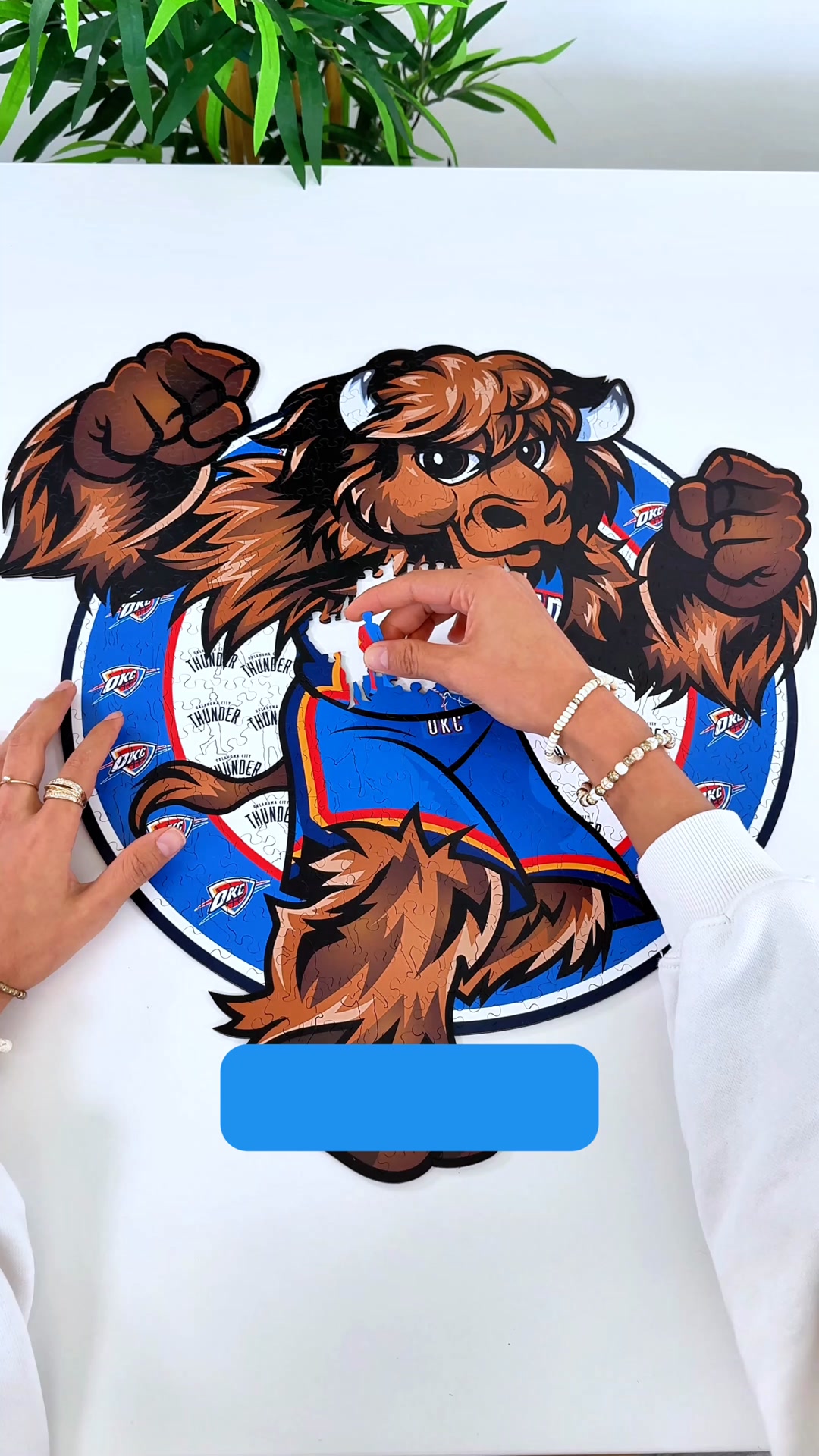Le Cadeau Parfait Pour Fans NBA