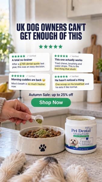 Autumn Sale: Up to 25% off
