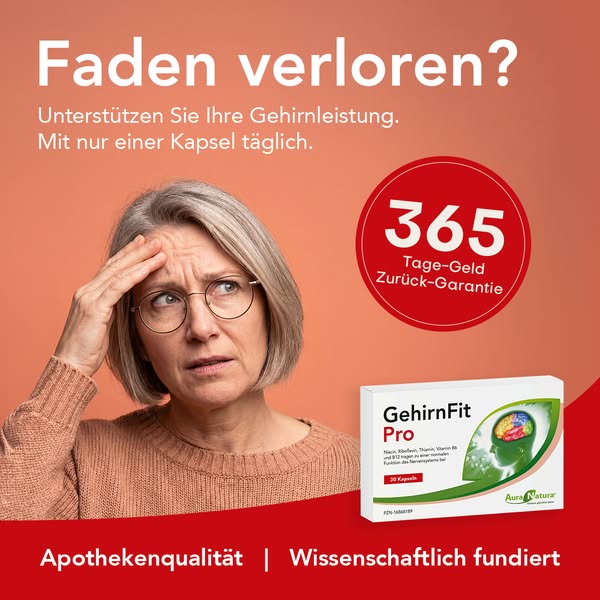 GehirnFit Pro