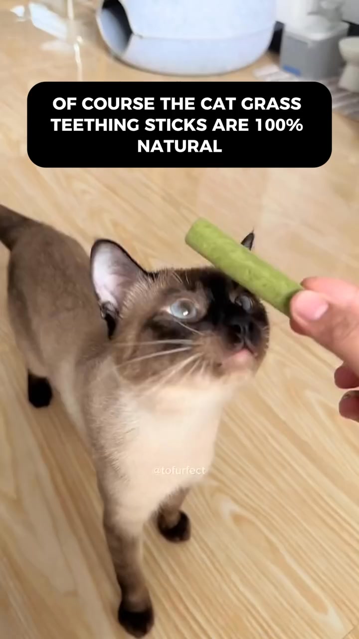 One Treat. Endless Cat Health Benefits.