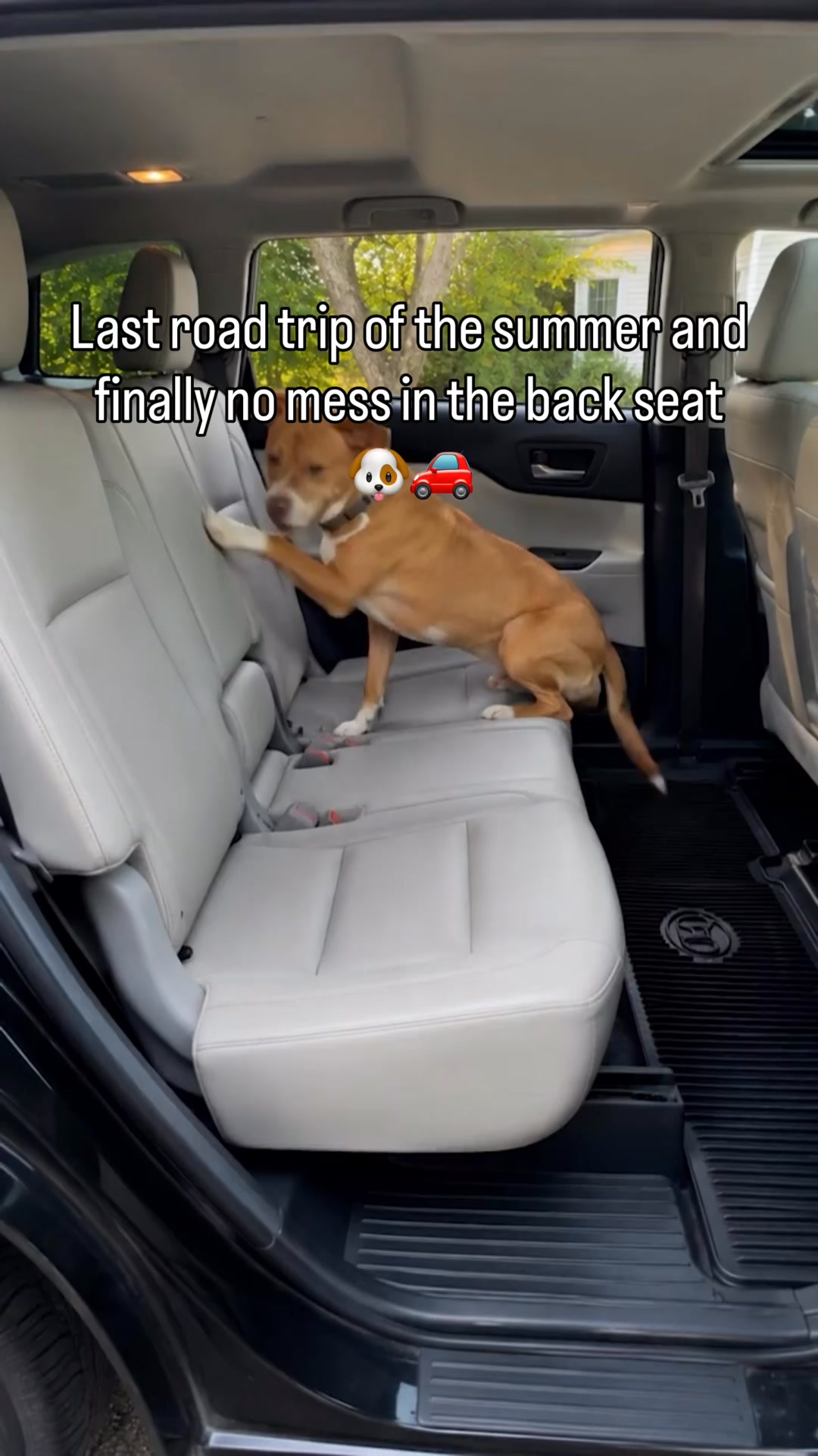 Safe & Comfy Rides in 1 Easy Step