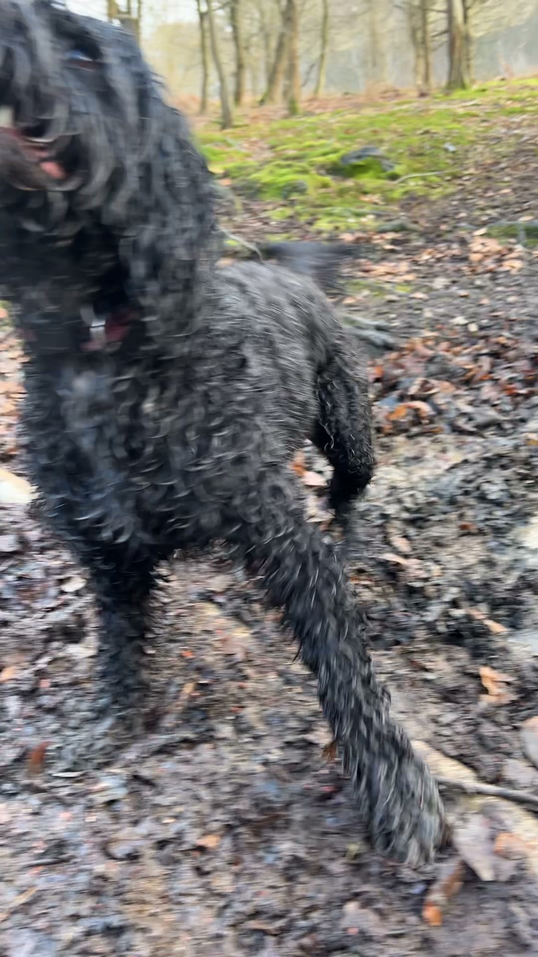 Adventures Without the Mess!