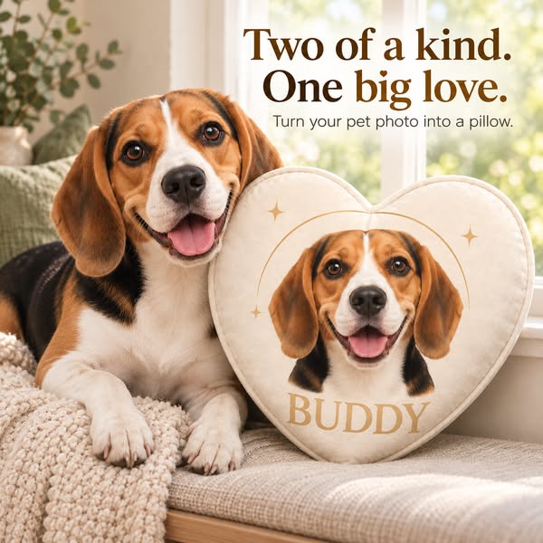 Your Pet, at the Heart of It