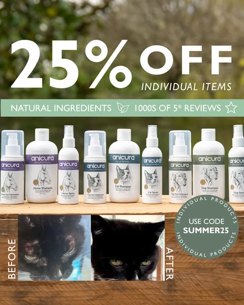 End Of Summer Sale Is HERE