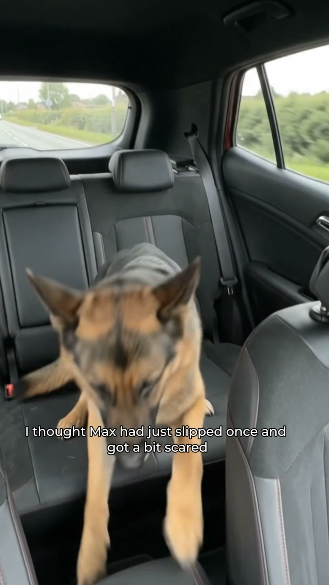 Same Car. More Dog Space.