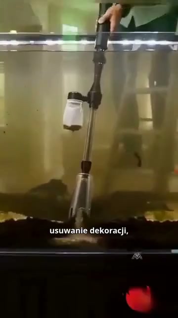Bezpłatna wysyłka wszystkich zamówień