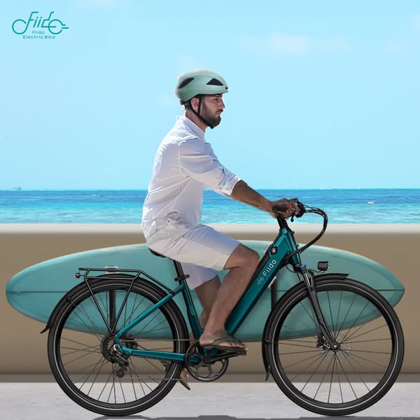 Fiido C11 Elektrofahrrad