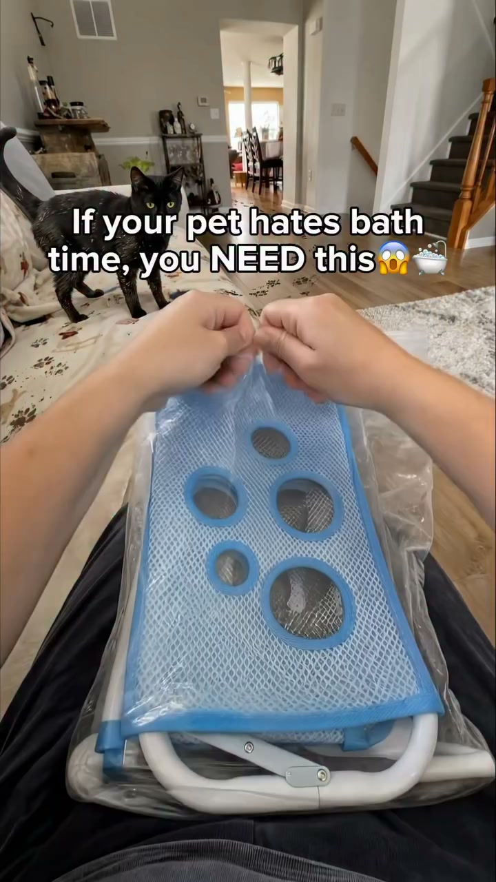 Bathing A Cat Doesn't Have To Be War