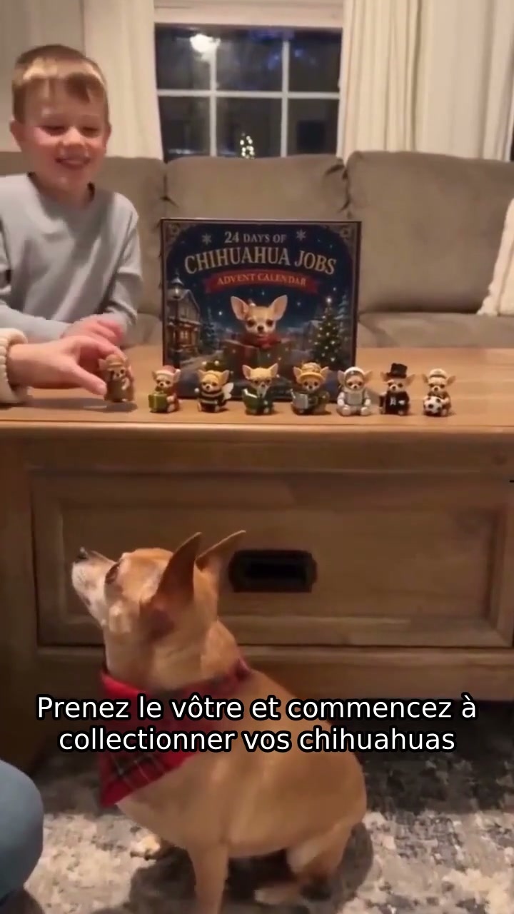 Chaque jour, une petite surprise, chaque jour un nouveau sourire.