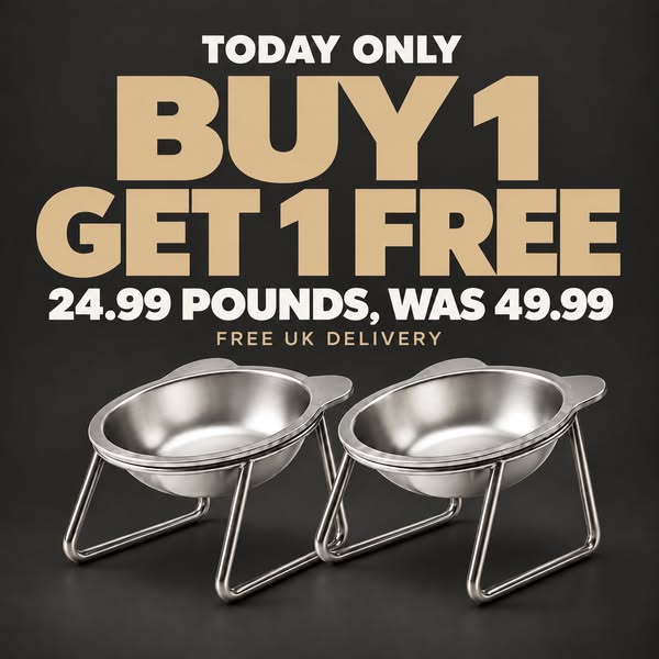 SteelPaw Raised Feeding Bowl - Tilted Steel Bowl | HomePaw