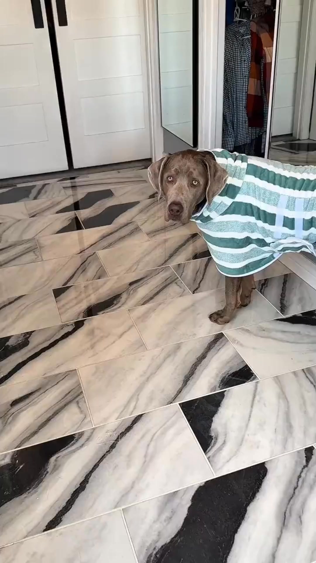 Why is your house WET after every bath?!