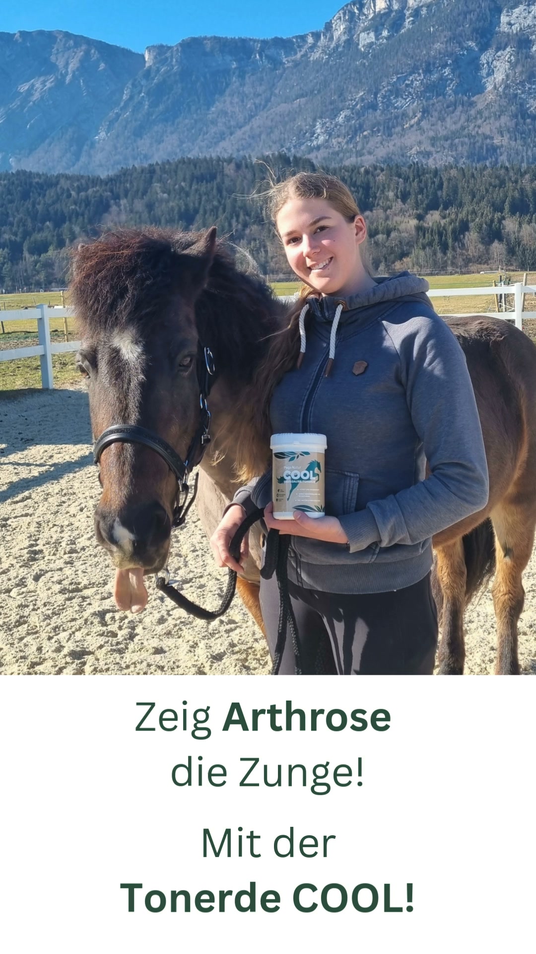 Arthrose beim Pferd natürlich unterstützen