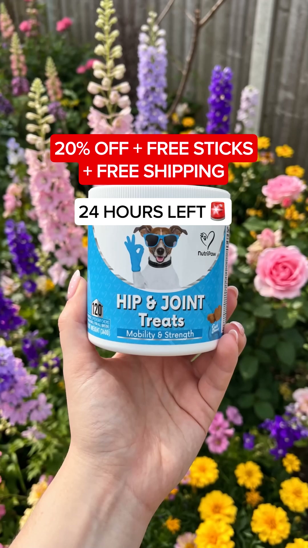 Strong Joints Start Now + Free Gift