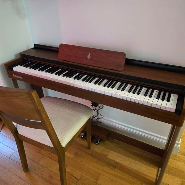 DDP-200 MK2