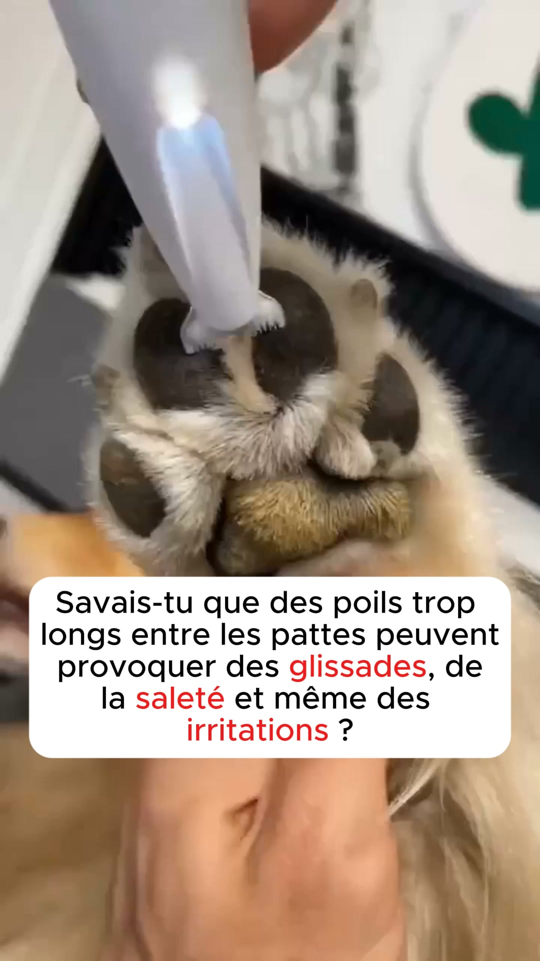 50% AUJOURD'HUI • Livraison offerte