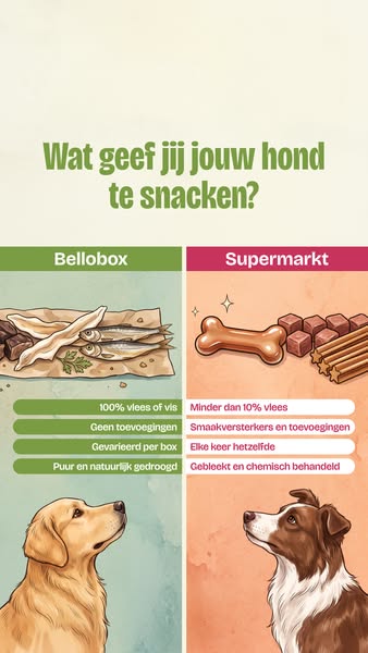 Ontdek de snackbox voor jouw hond