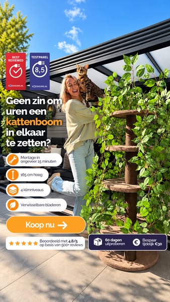 Kattenboom krabpaal met bladeren
