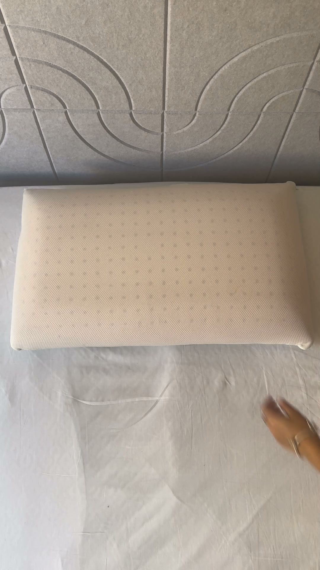 Spedizione Gratuita